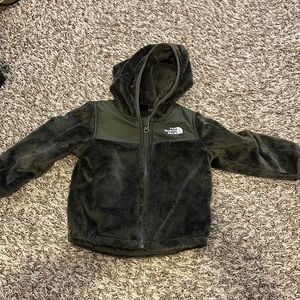 The North Face Dark Fleece Hoodie